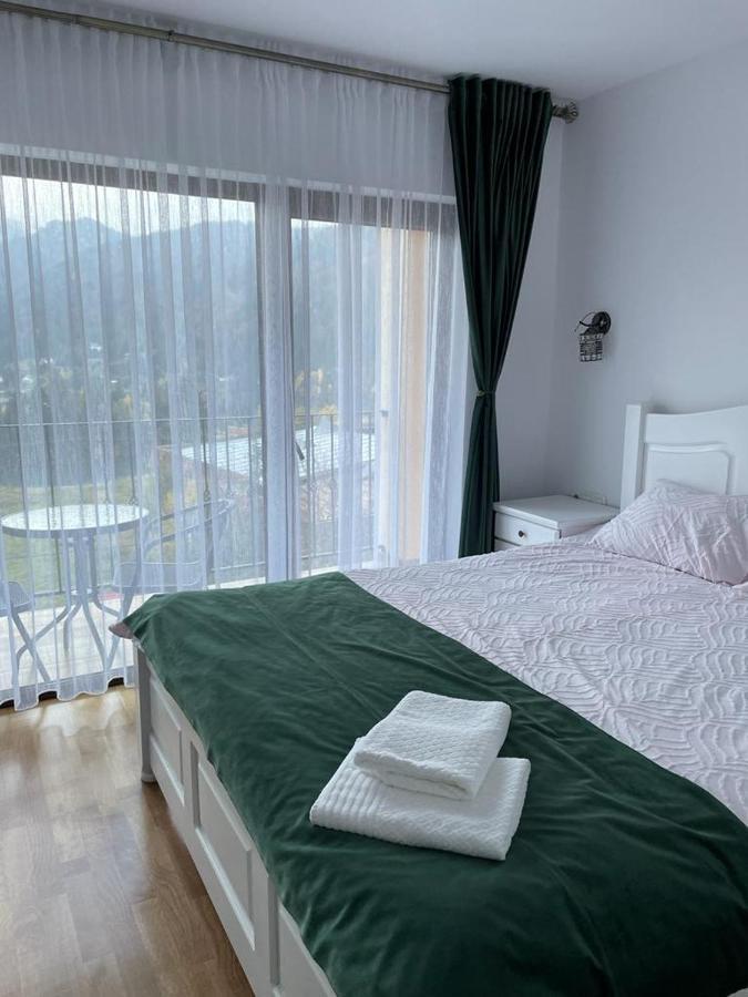 Silver Mountain Villa Kolibica Kültér fotó